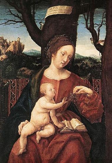 HERRERA, Francisco de, the Elder Madonna with Grape Spain oil painting art